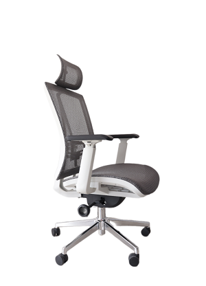 Silla Ergonomica Paris Plus Gris